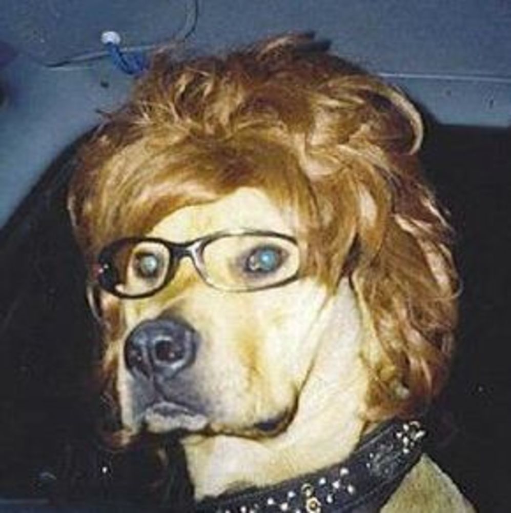 Meet your Posher, Ken